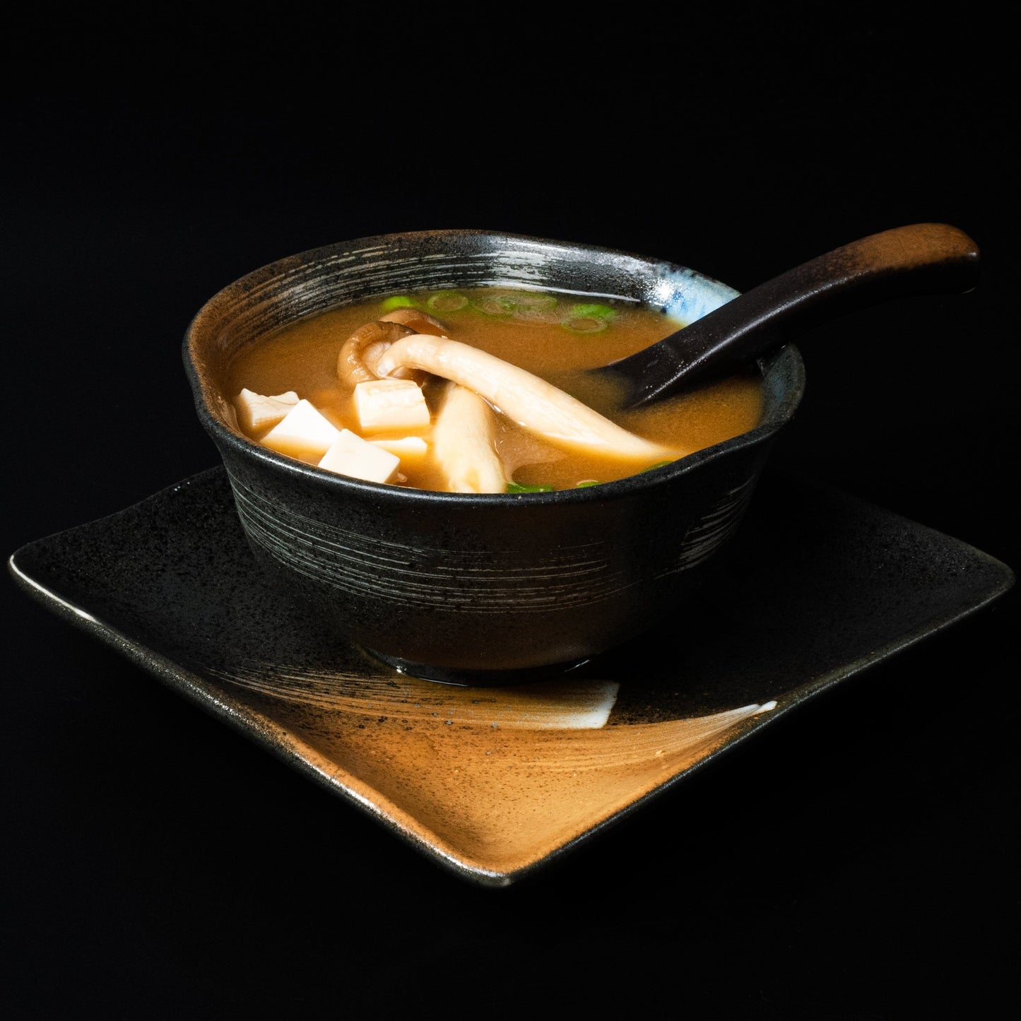 SOPA MISO